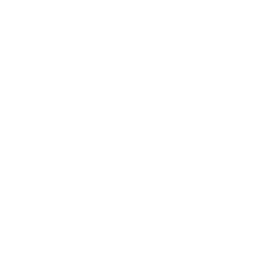 Heineken Light